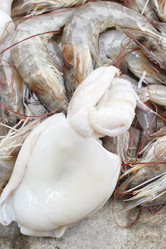 Similar image 8727885