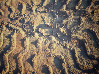 Similar image 8727924