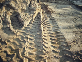 Similar image 8727926