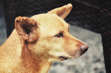 Similar image 8727934