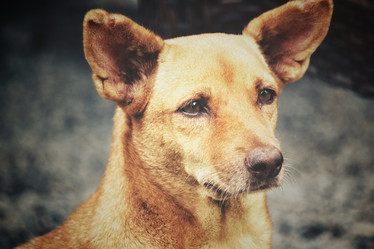 Similar image 8727937