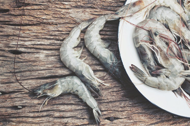 Similar image 8727940