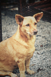 Similar image 8727939