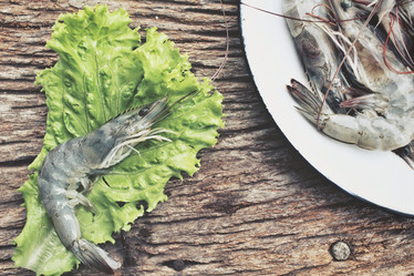 Similar image 8727942