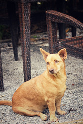 Similar image 8727941