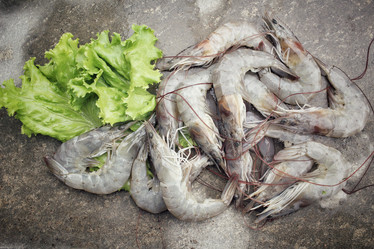 Similar image 8727944