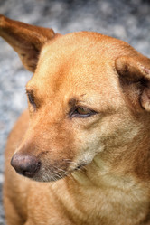 Similar image 8727945