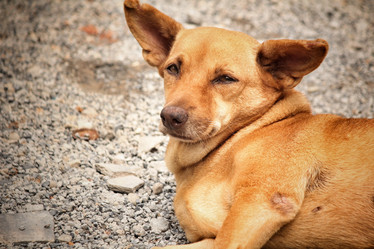 Similar image 8727949