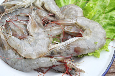 Similar image 8727950