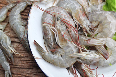 Similar image 8727955