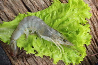 Similar image 8727957