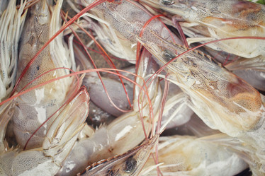 Similar image 8727958