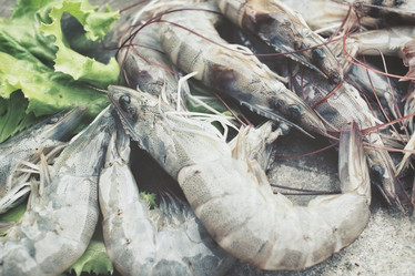 Similar image 8727959