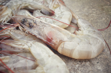 Similar image 8727960