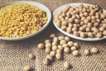 Similar image 8728028