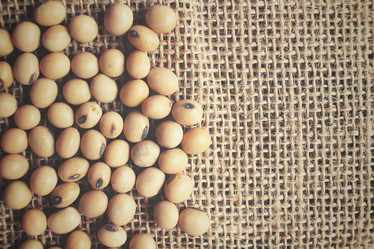 Similar image 8728032