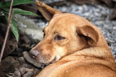 Similar image 8728043