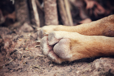 Similar image 8728049