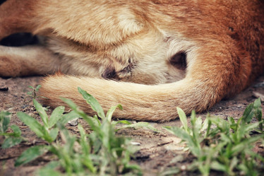 Similar image 8728051