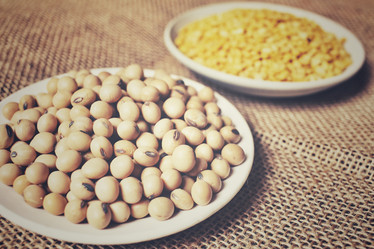 Similar image 8728205