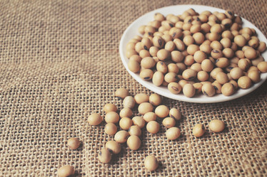 Similar image 8728215