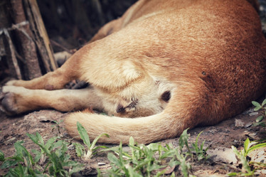 Similar image 8728326