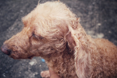 Similar image 8728494