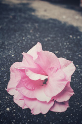 Similar image 8728500