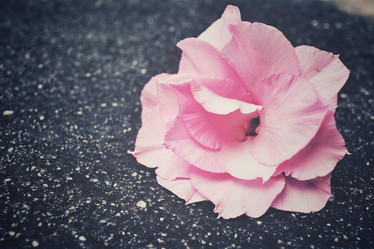 Similar image 8728501