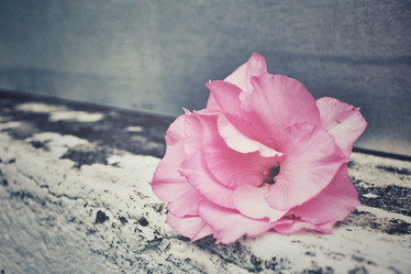 Similar image 8728513