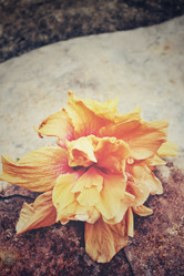 Similar image 8728515