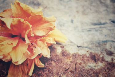 Similar image 8728517