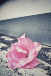 Similar image 8728534