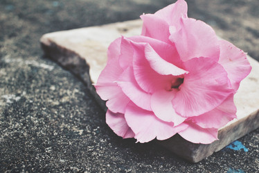 Similar image 8728539