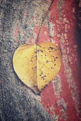 Similar image 8728855