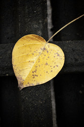 Similar image 8728861