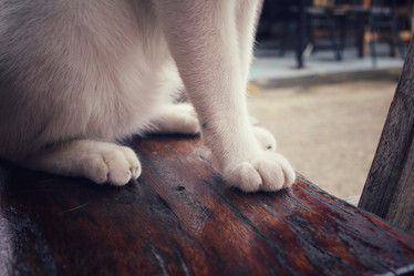 Similar image 8728863