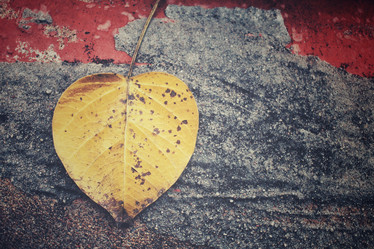 Similar image 8728869