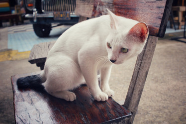 Similar image 8728873