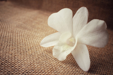 Similar image 8728993