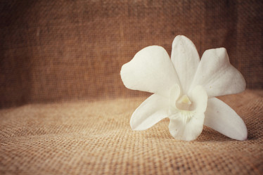 Similar image 8728994