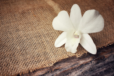 Similar image 8728996