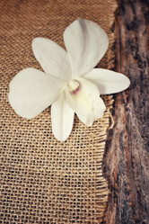 Similar image 8728998