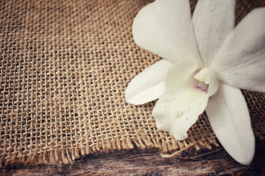 Similar image 8728999