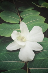 Similar image 8729002