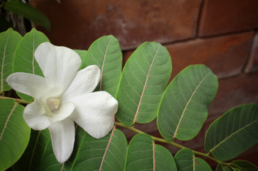 Similar image 8729005