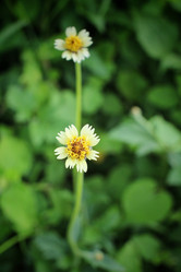 Similar image 8729109