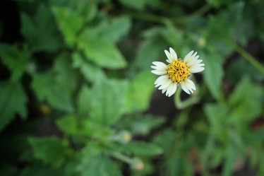 Similar image 8729110