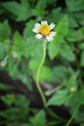 Similar image 8729116