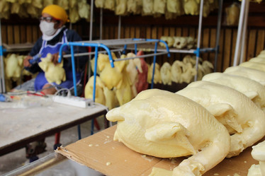 Similar image 8729362